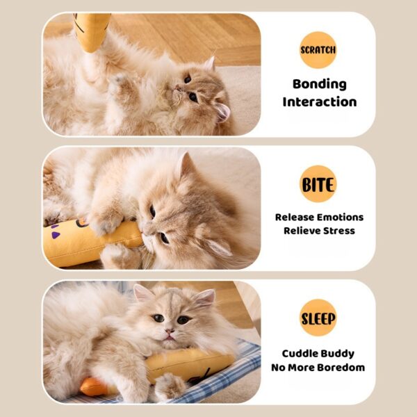 Squeaky Catnip Fish Pet Toy