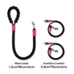 Two-in-One Anti-Tangle Dog Dog Leash