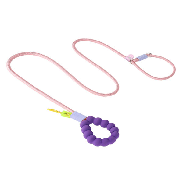 Multi - purpose Dog P - Leash