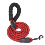 Reflective Nylon Dog Leash