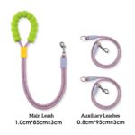 Two-in-One Anti-Tangle Dog Dog Leash