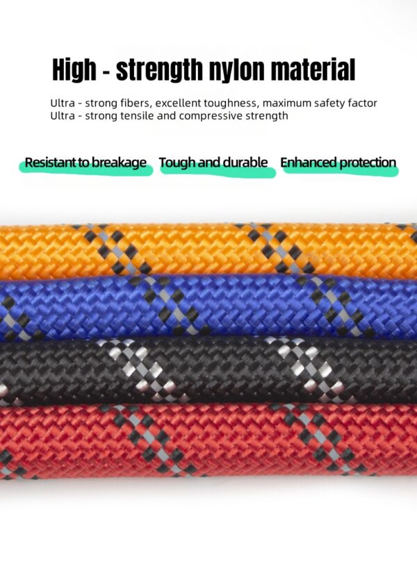 Reflective Nylon Dog Leash