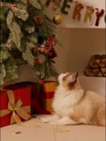 Winter Warm Christmas Cat Bed