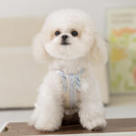 Striped Lady Bow Strap Dress