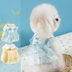 Princess-style Lace Trim Polka Dot Dress