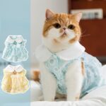 Princess-style Lace Trim Polka Dot Dress