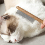 De - shedding Wooden Comb