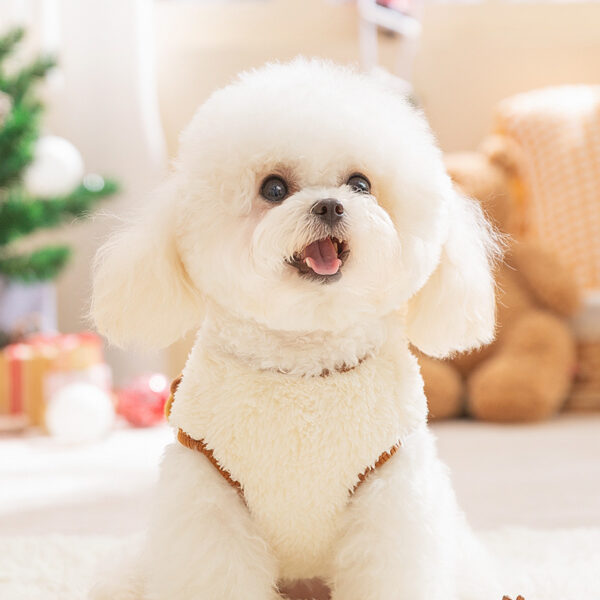 Cute - style Fleece Coat Winter & Christmas