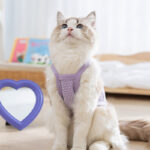 Two - legged  3D flower traction sling