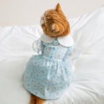 Princess-style Lace Trim Polka Dot Dress