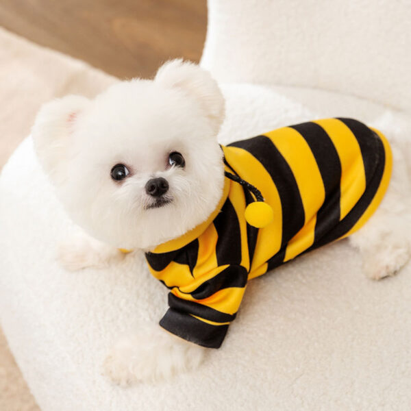 Autumn & Winter Cute Bee Dog Hoodie with Leash
