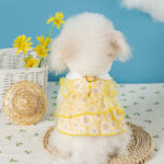 Princess-style Lace Trim Polka Dot Dress