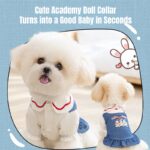 Spring & Summer Denim Dress