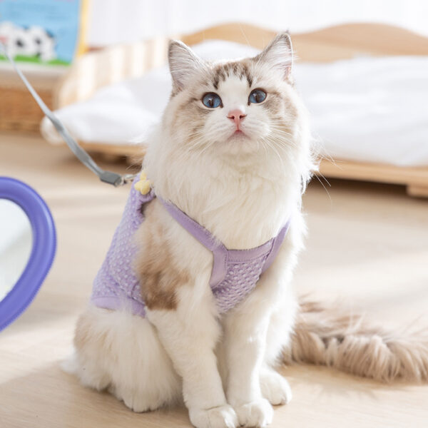 Two - legged  3D flower traction sling