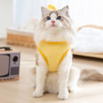 3D chick traction two-legged vest