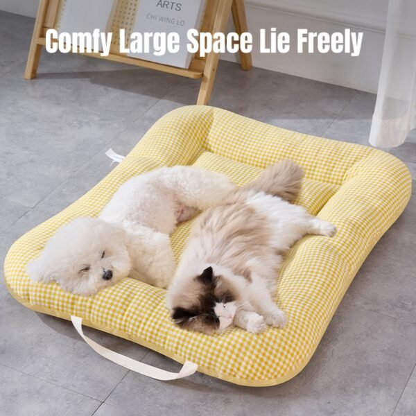 All - Season Pet Bed Open & Breathable