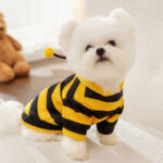 Autumn & Winter Cute Bee Dog Hoodie with Leash