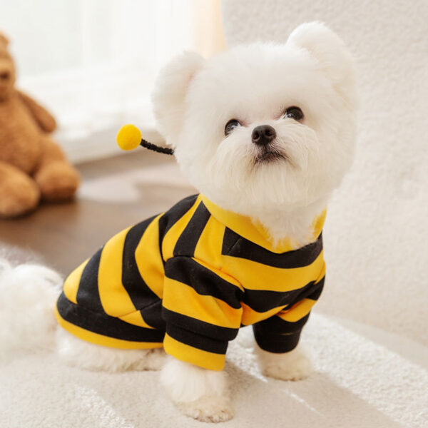 Autumn & Winter Cute Bee Dog Hoodie with Leash