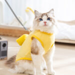 3D chick traction two-legged vest