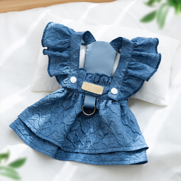 Spring & Summer Denim Dress