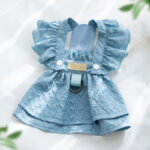 Spring & Summer Denim Dress