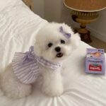 princess-style cute flutter-sleeve striped dress