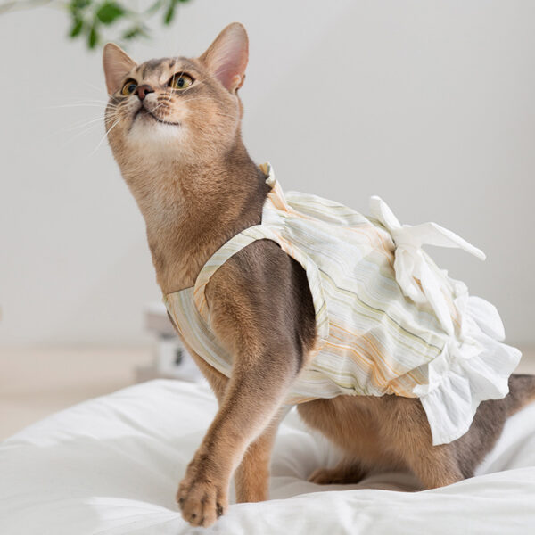 Striped Lady Bow Strap Dress